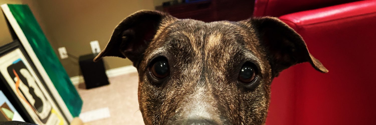 Kara Young-Birdwell banner