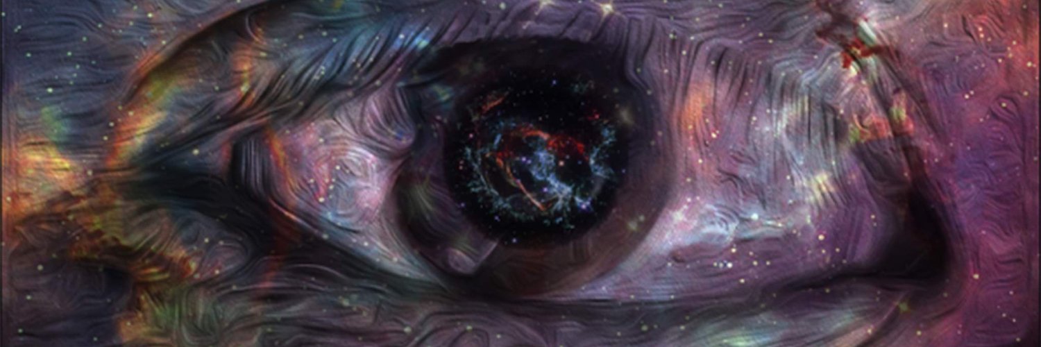 Shon banner