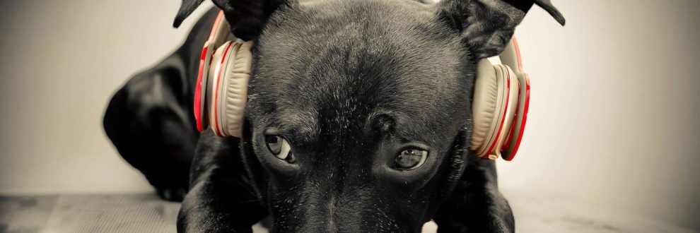 byrenan's profile banner image