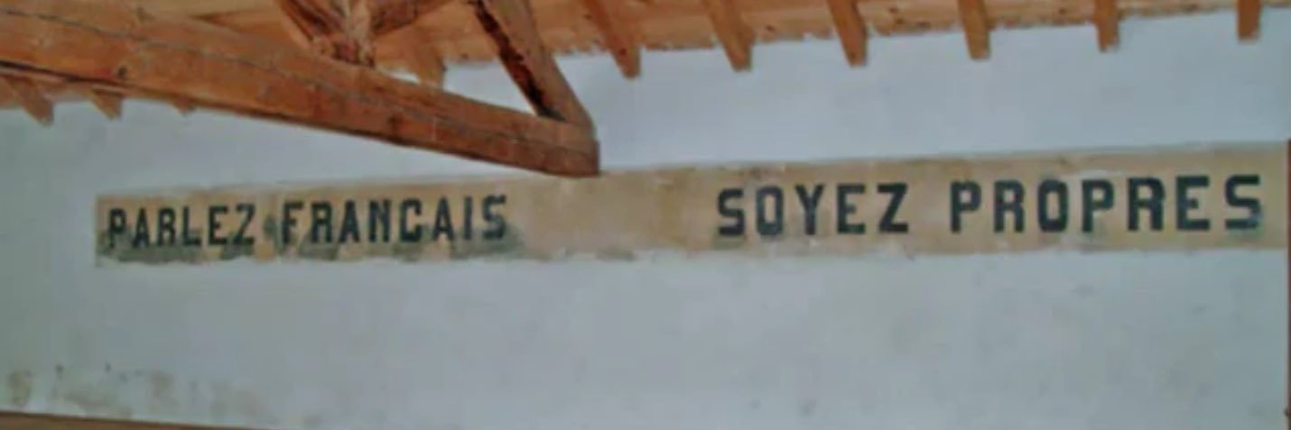 PeitoDelNilo's profile banner image
