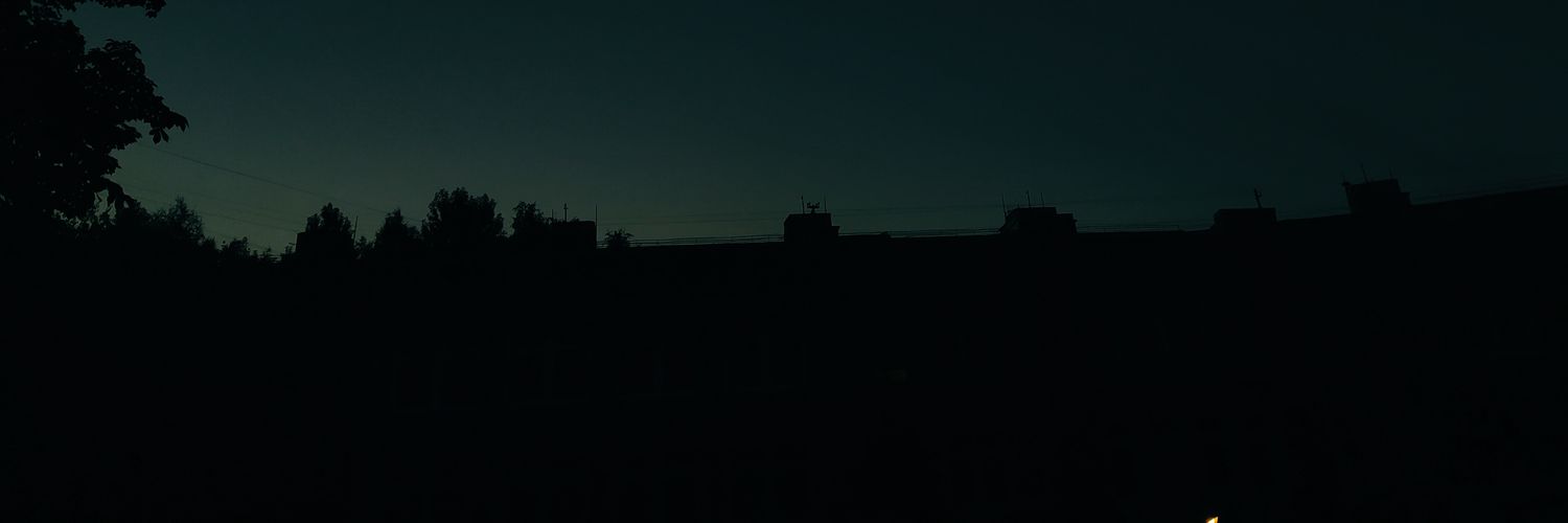 Disarium banner