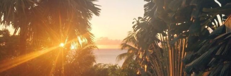 DisBeMarmz's profile banner image