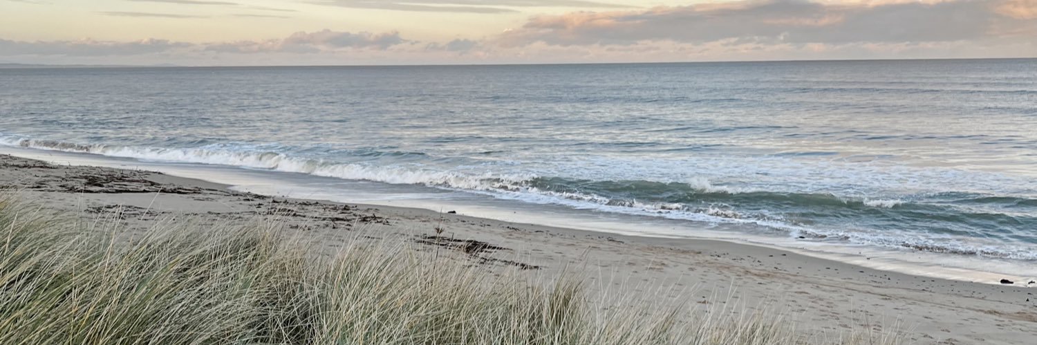 Wexsinnott's profile banner image