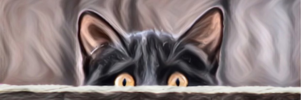 catpromote's profile banner image