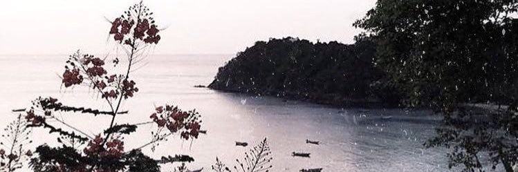 ambersann_'s profile banner image