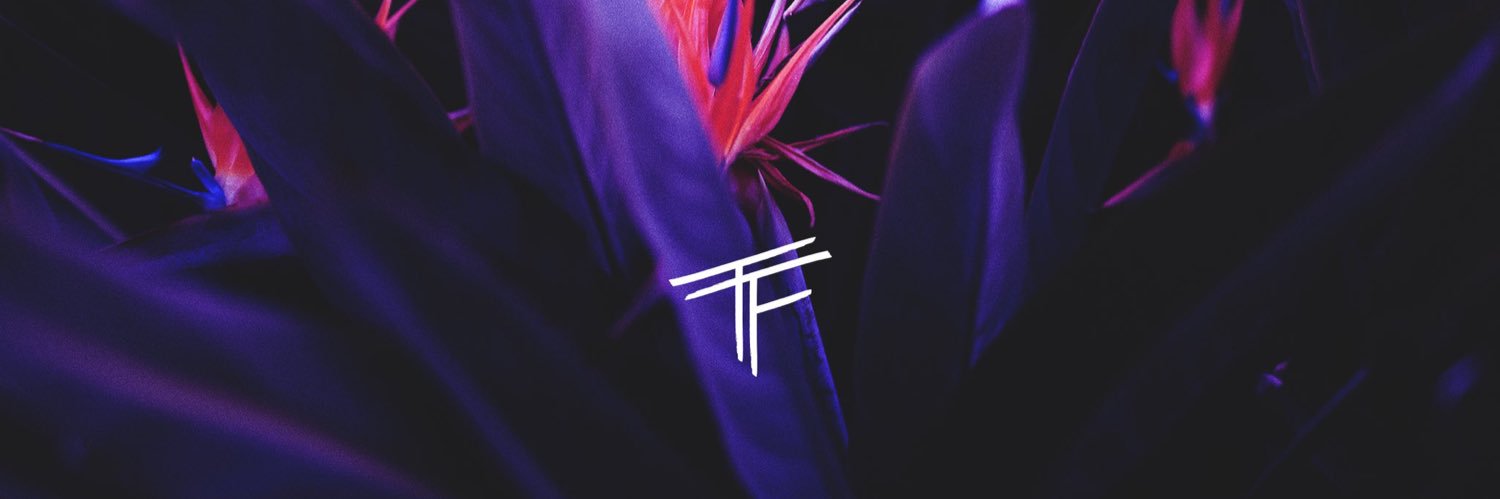 trillforest's profile banner image