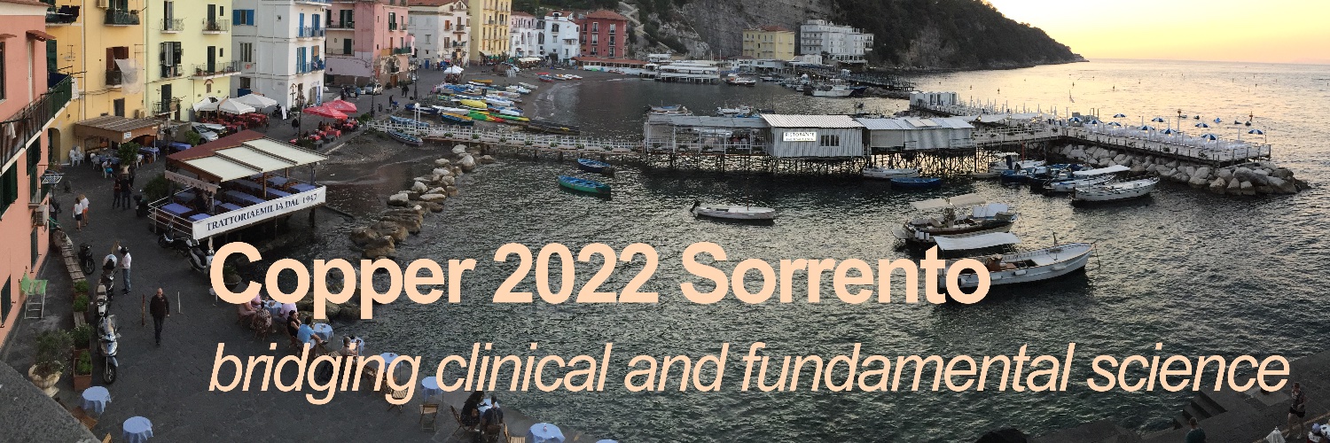 Copper 2022 Sorrento (Cu2022_Sorrento) / Twitter