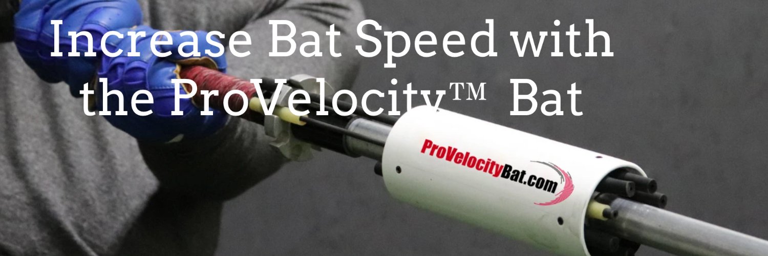 ProVelocityBat banner