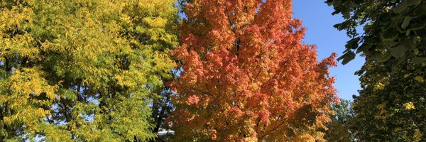 MarcLaw4 Profile Banner