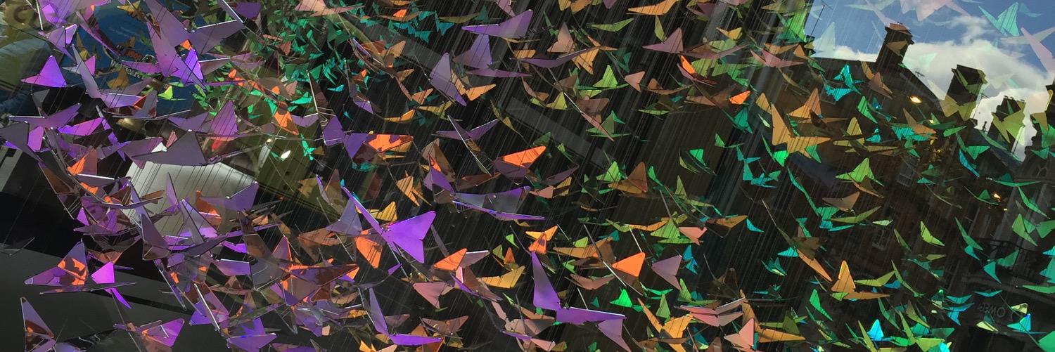 catyaviles's profile banner image