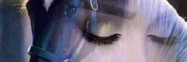 Hnfd1234's profile banner image