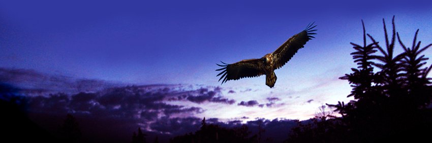orza8's profile banner image
