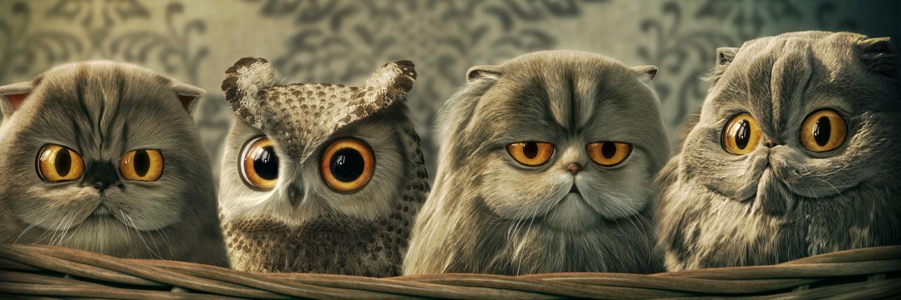 SocialMinnie's profile banner image
