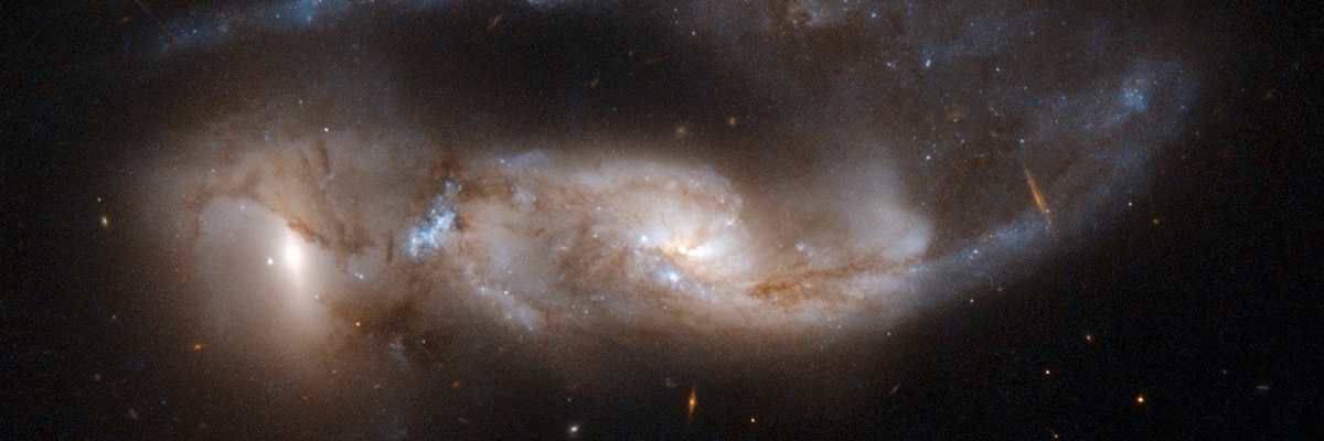 🐏 ☔️☁️ banner