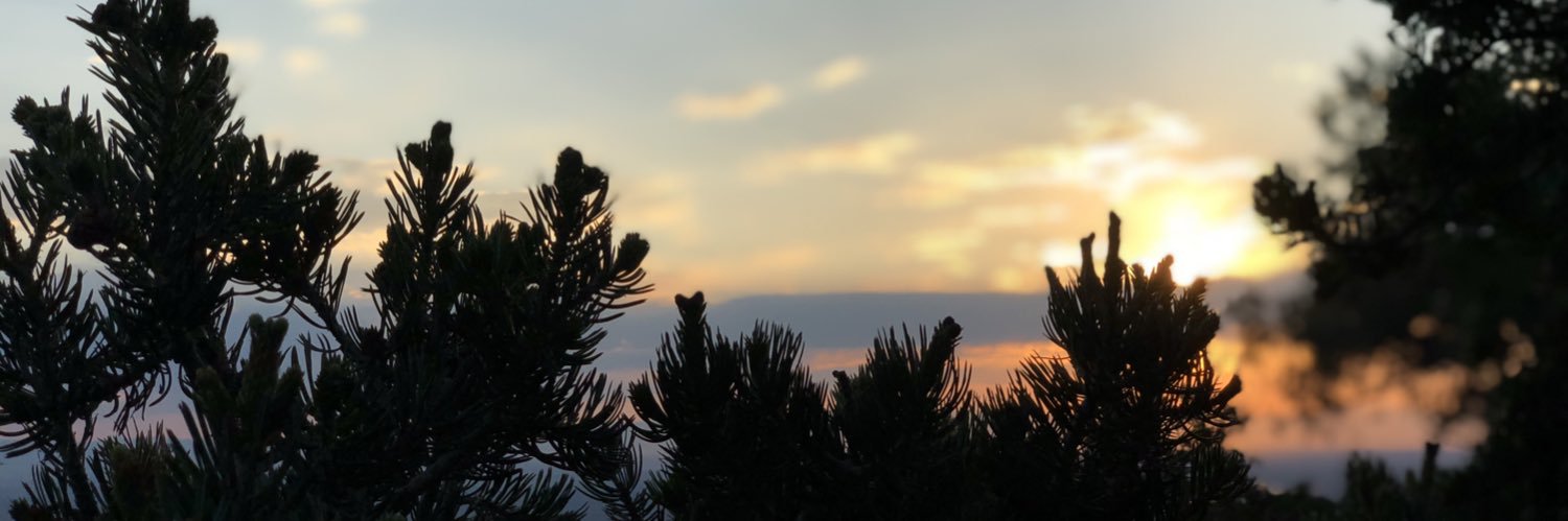 VentureStill's profile banner image