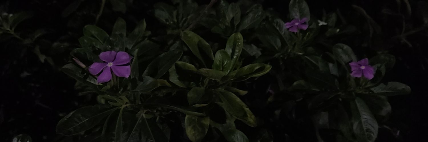 mxrinhox's profile banner image