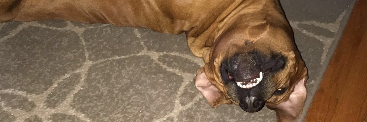 Andrew Baureko banner