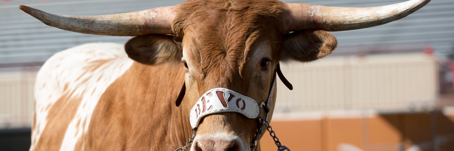 Elizabeth Swanson banner