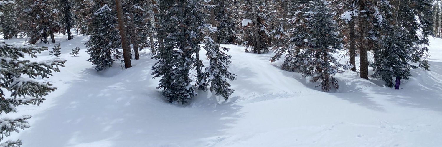 OBSF415's profile banner image