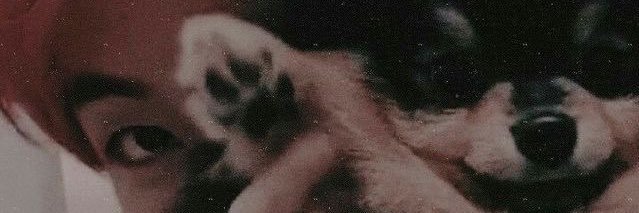 Vorm | ดูเมะ ´ސު｀ banner