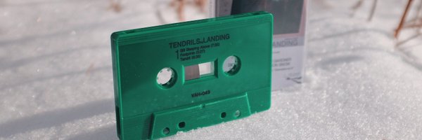 Landingtryyps Profile Banner