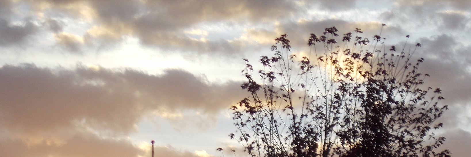 DarcyCindy's profile banner image