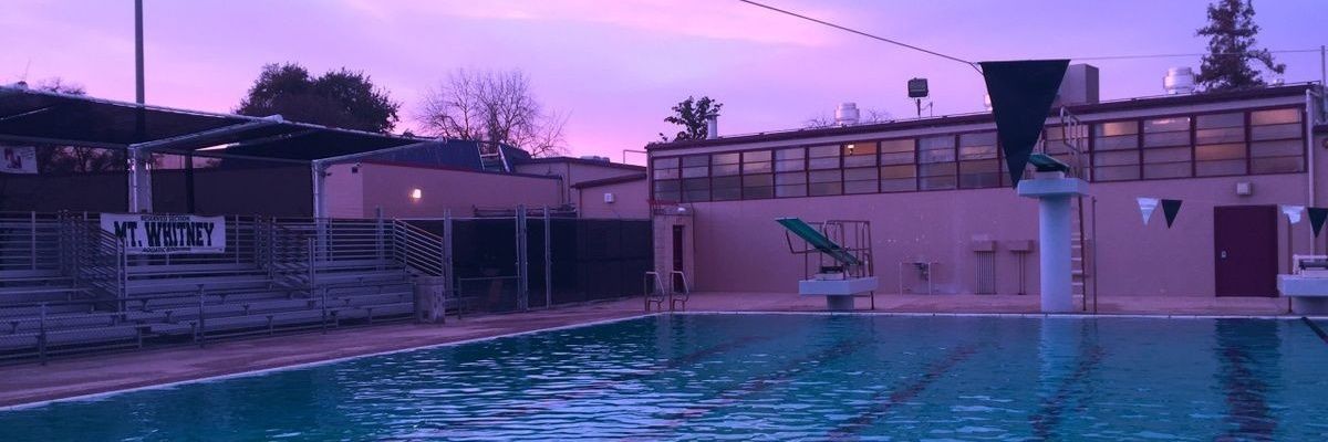 Puf_Pizza's profile banner image