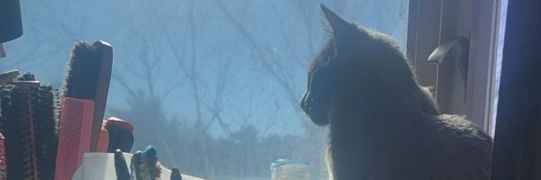 ninodagoattt Profile Banner