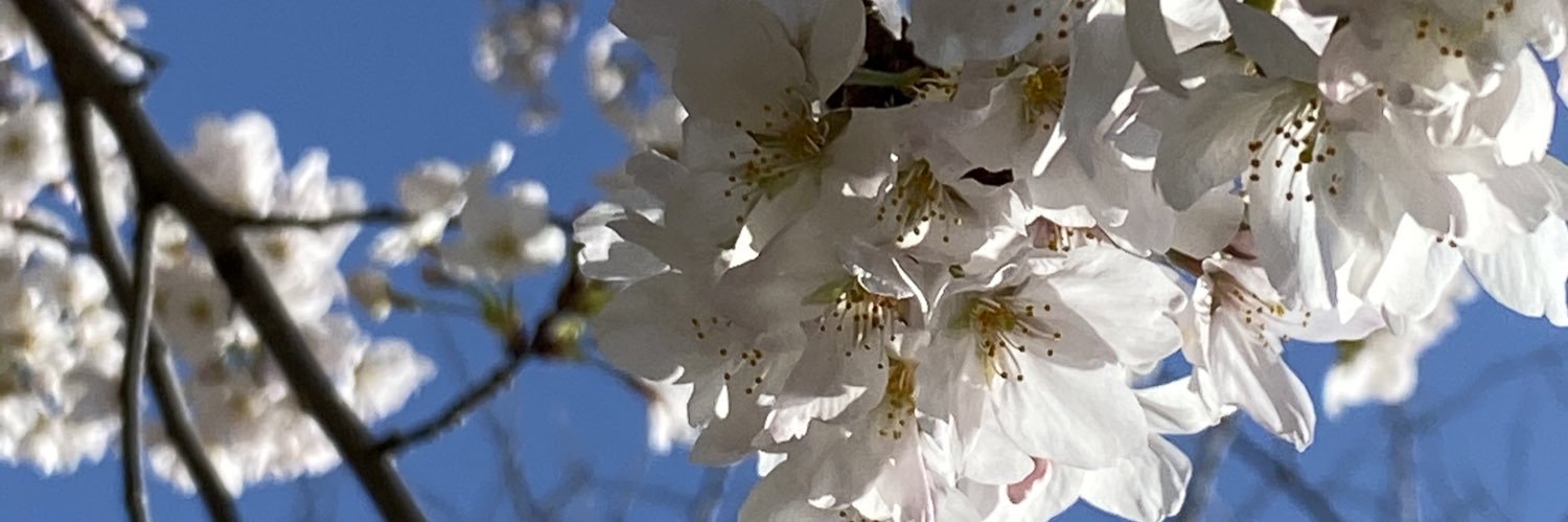 m1kope's profile banner image