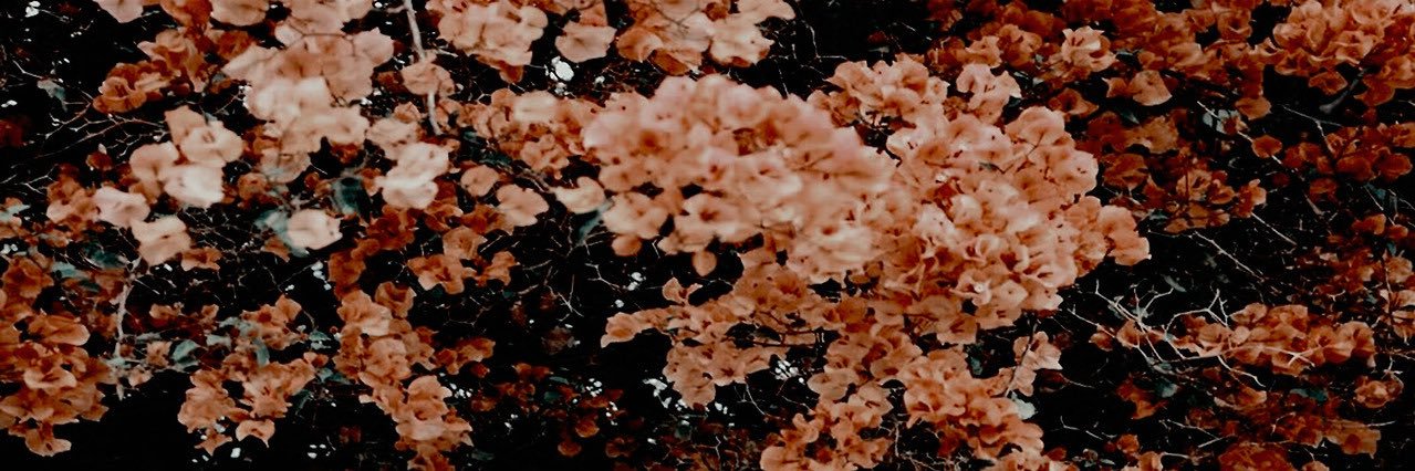 _BriBae's profile banner image