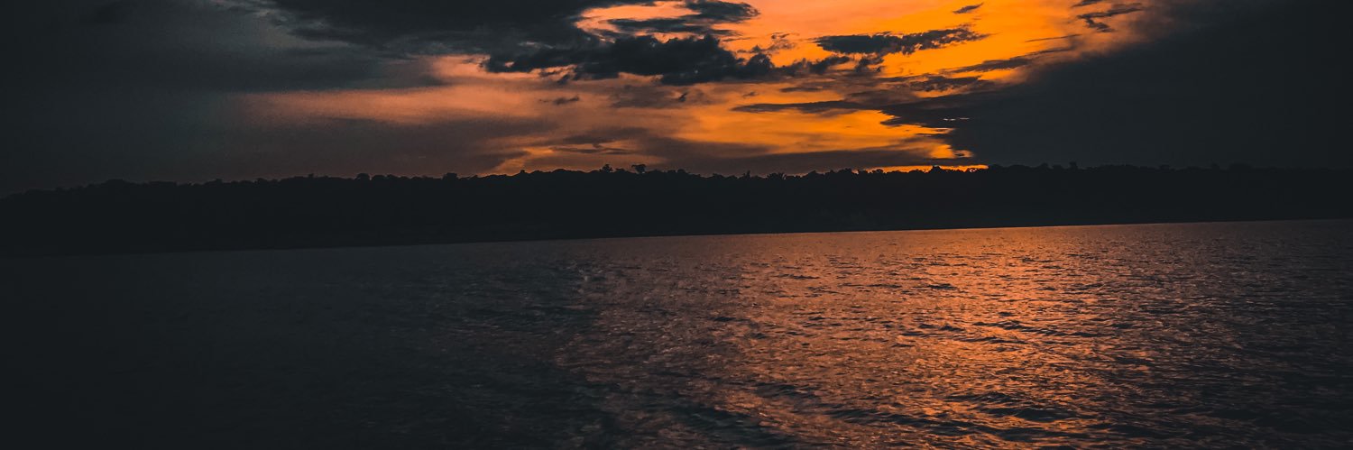 saraterto's profile banner image