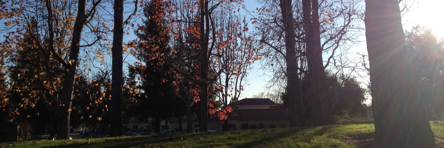 Ghosts Like Toast🐔🦚🌲 banner