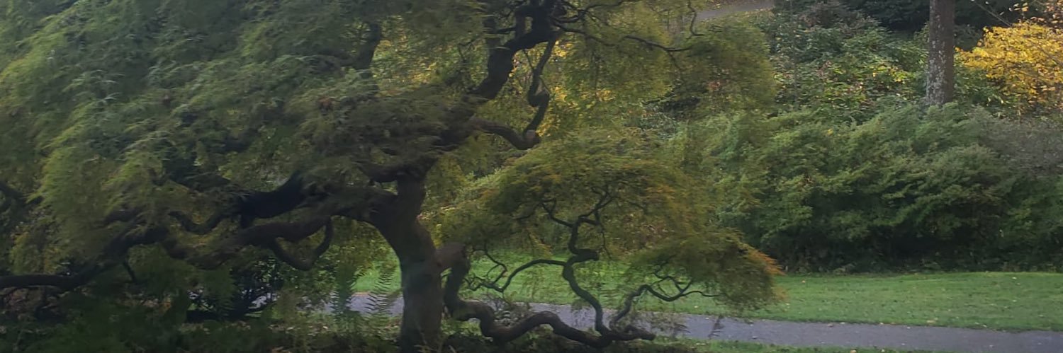 Solitude63🟧 banner