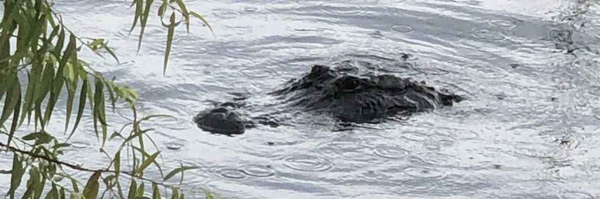 BlackGirlMagic banner