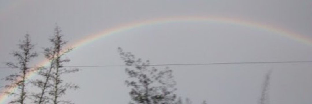 lorena_414's profile banner image