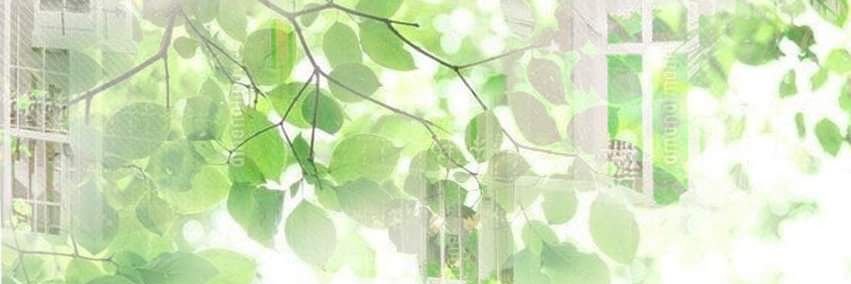 NezuXP's profile banner image