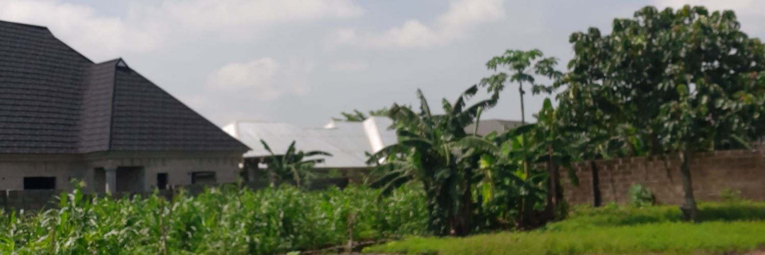 Funtasypl's profile banner image