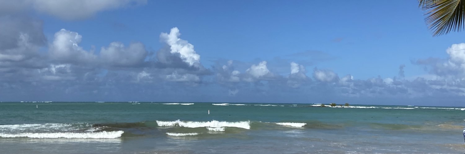 𝚅𝚒𝚟𝚒🇵🇷 banner