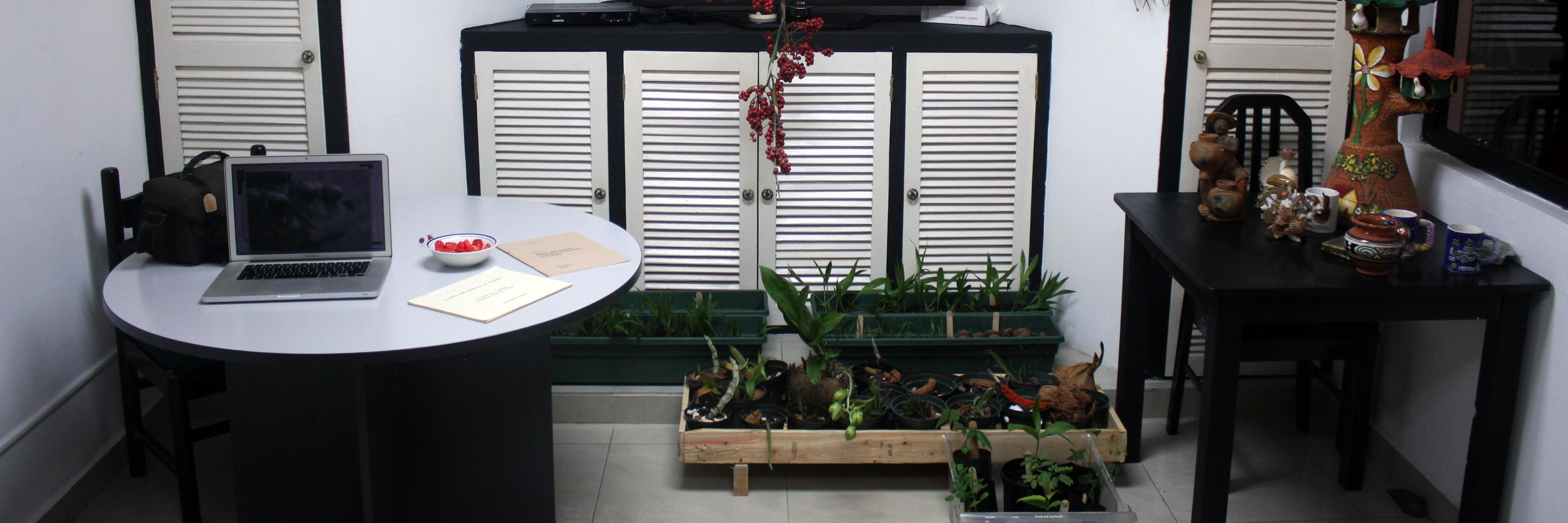 Asociación EcoStudio banner