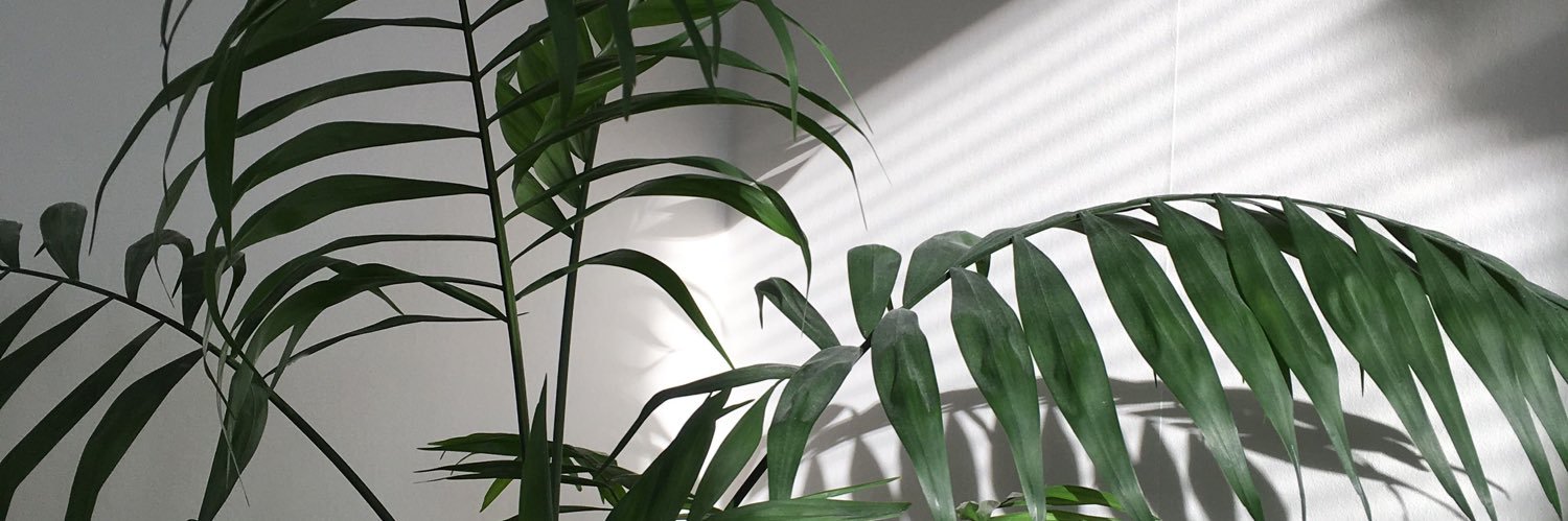 vanessaamaay's profile banner image