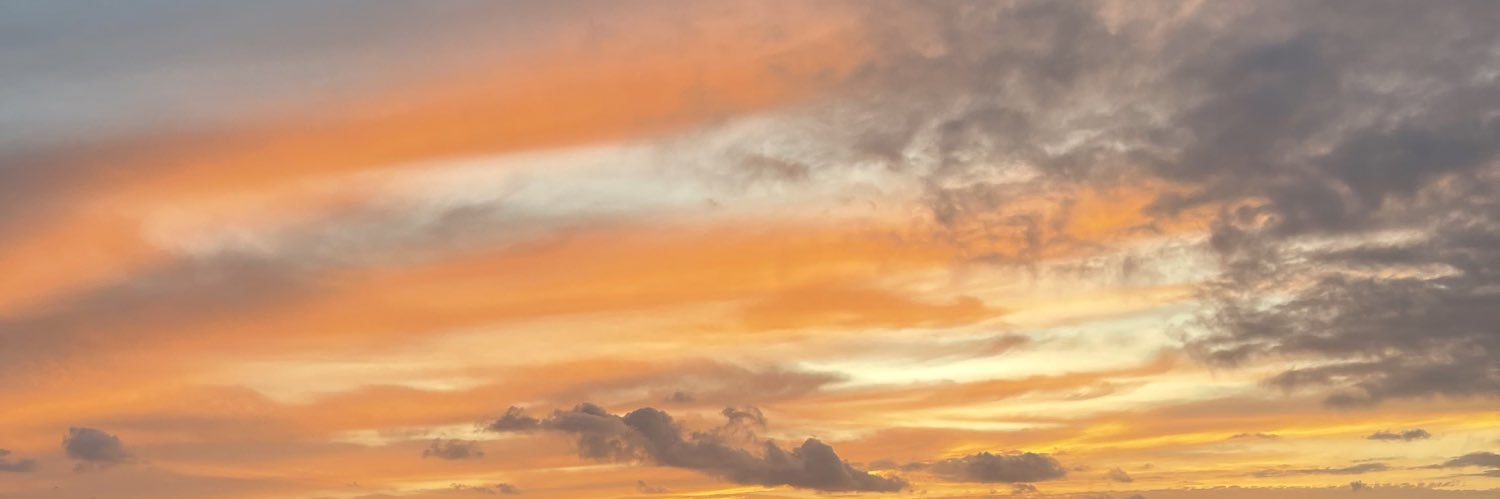tamjo4's profile banner image
