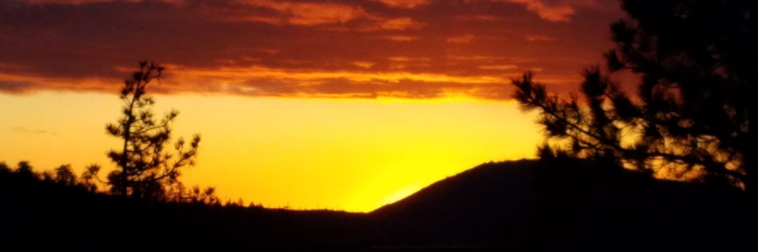 willwwarren's profile banner image