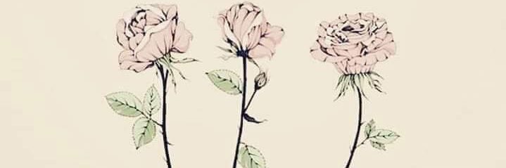 allyremaley's profile banner image