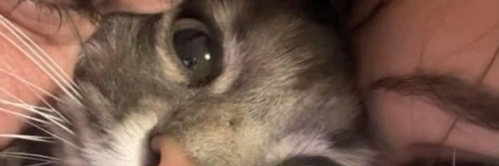 ceyydaguner's profile banner image