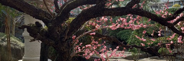 p6st3NnQRvN6vFU Profile Banner