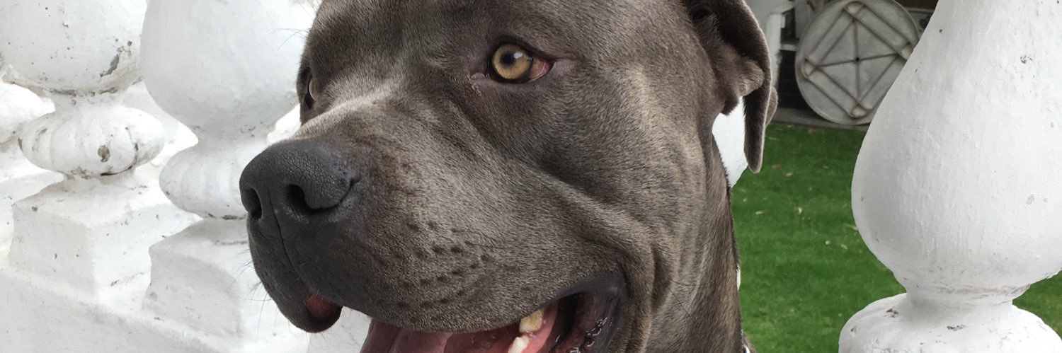 rocco_cabs's profile banner image