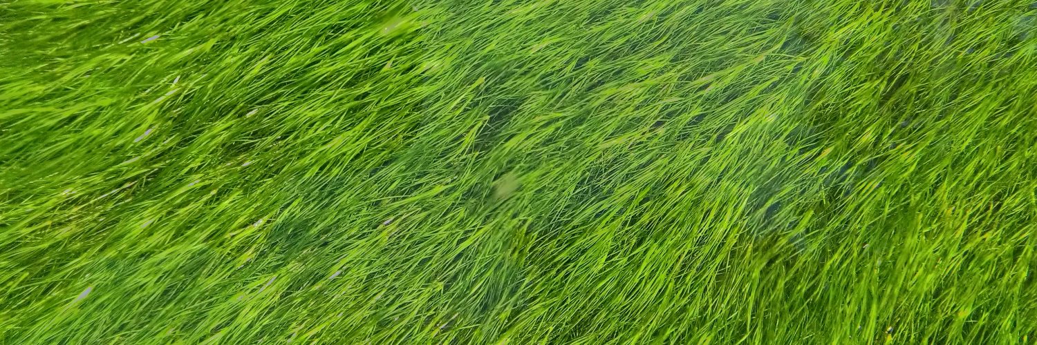 Greenfield One banner