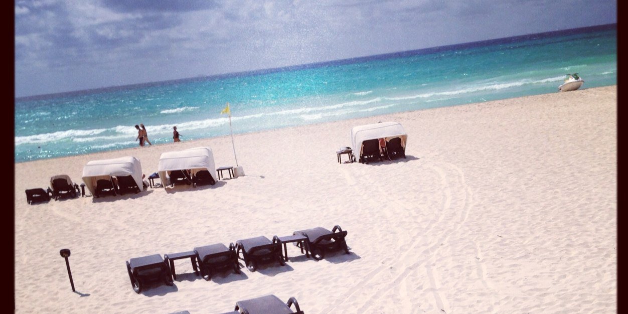 Parul Nanavati Moses banner