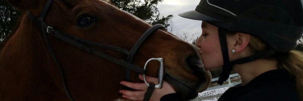 mttaylor99's profile banner image