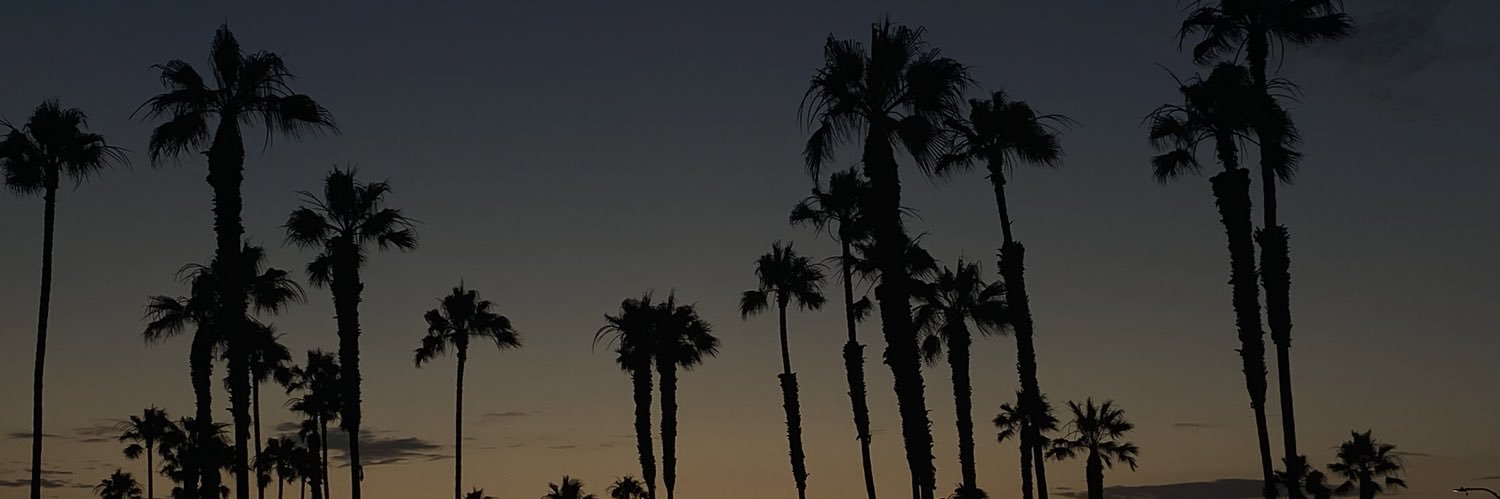 _vcxm's profile banner image